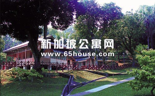 新加坡房地产市场：私宅价格将会怎么样？