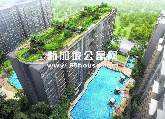 新加坡公寓 3：1抢天林园（Skypark Residences）公寓