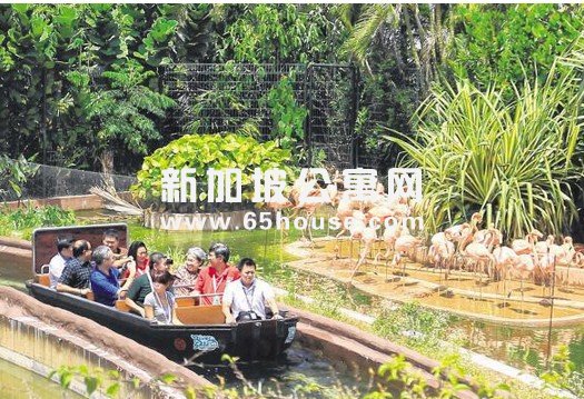 新加坡旅游业怎么样吸引旅客？